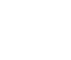 Mobile Trends Logo
